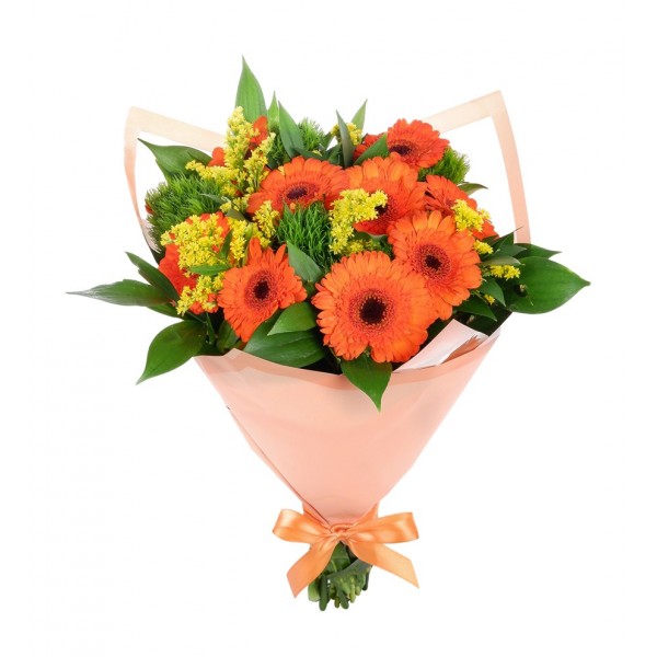 Gerbera mix